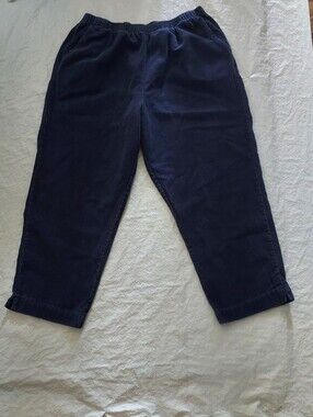 Blair Navy Corduroy Cropped Pants